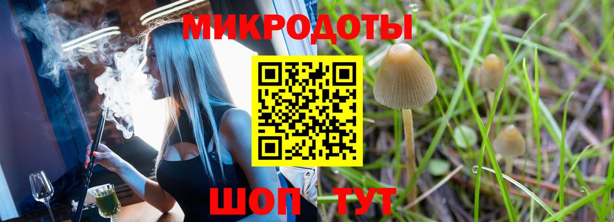Псилоцибиновые грибы прущие грибы  Вход с VPN  Нурлат 